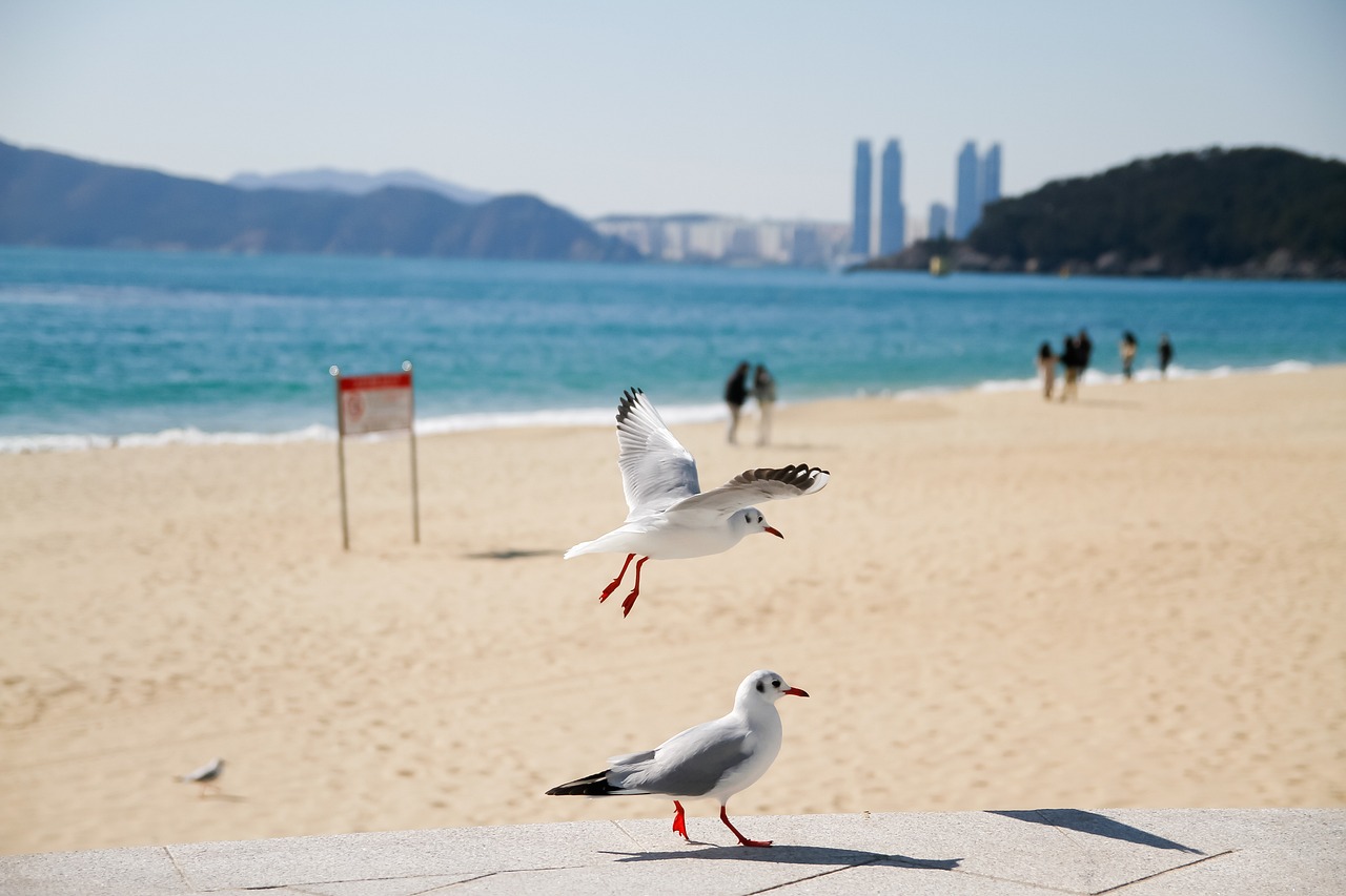 세종해운