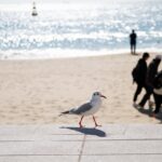더불어민주당 부산시당의 활동 살펴보기