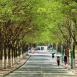 일산 교정의 효과적인 관리 방법 알아보자