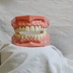 치과 코디네이터의 역할을 이해하는 5가지 방법